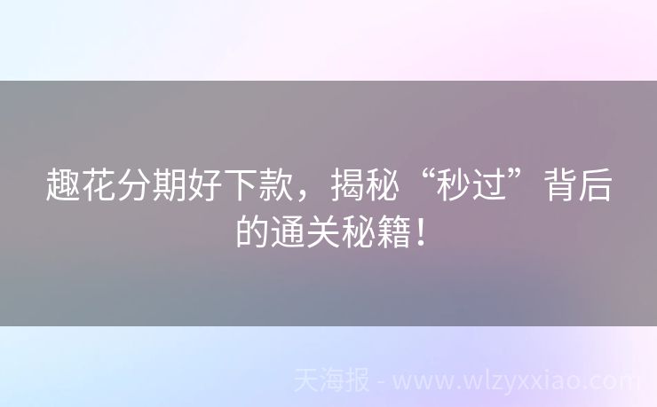 趣花分期好下款，揭秘“秒过”背后的通关秘籍！