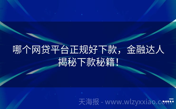哪个网贷平台正规好下款，金融达人揭秘下款秘籍！