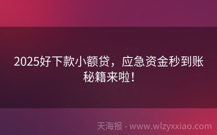 2025好下款小额贷，应急资金秒到账秘籍来啦！