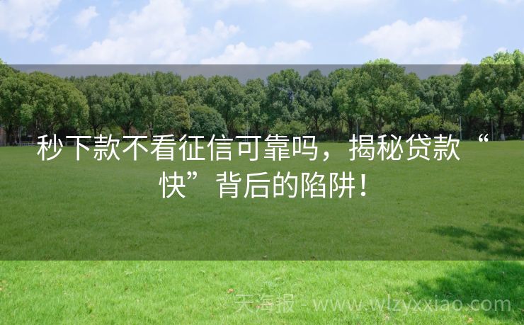 秒下款不看征信可靠吗，揭秘贷款“快”背后的陷阱！
