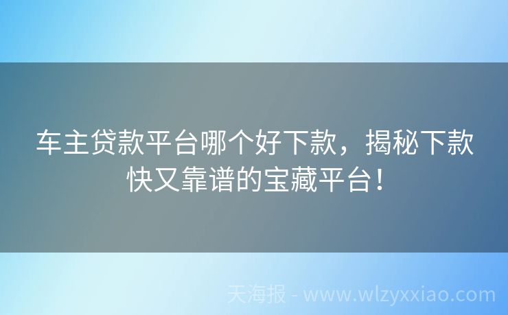 车主贷款平台哪个好下款，揭秘下款快又靠谱的宝藏平台！