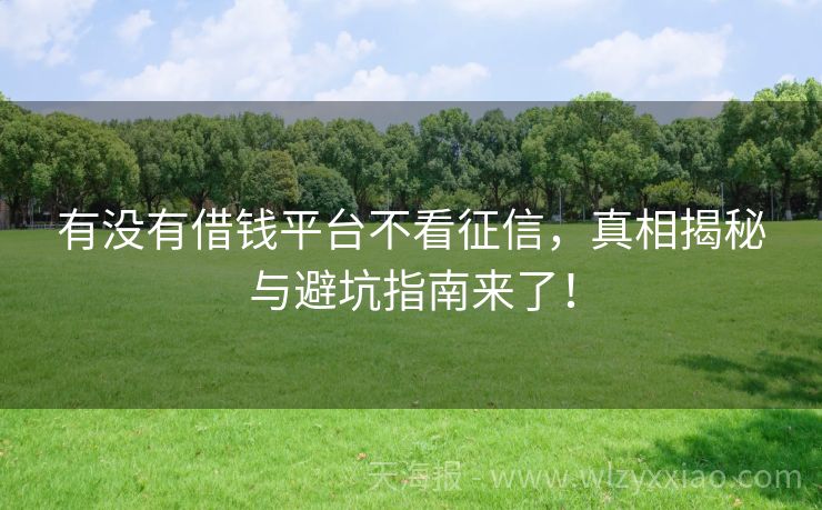 有没有借钱平台不看征信，真相揭秘与避坑指南来了！