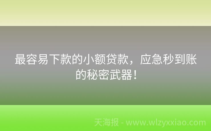最容易下款的小额贷款，应急秒到账的秘密武器！