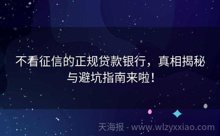 不看征信的正规贷款银行，真相揭秘与避坑指南来啦！
