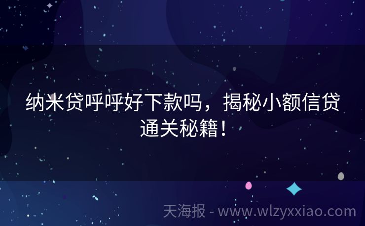 纳米贷呼呼好下款吗，揭秘小额信贷通关秘籍！