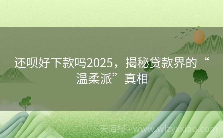 还呗好下款吗2025，揭秘贷款界的“温柔派”真相