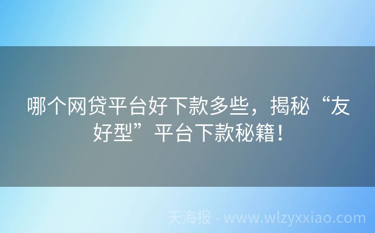 哪个网贷平台好下款多些，揭秘“友好型”平台下款秘籍！