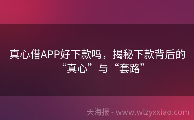 真心借APP好下款吗，揭秘下款背后的“真心”与“套路”