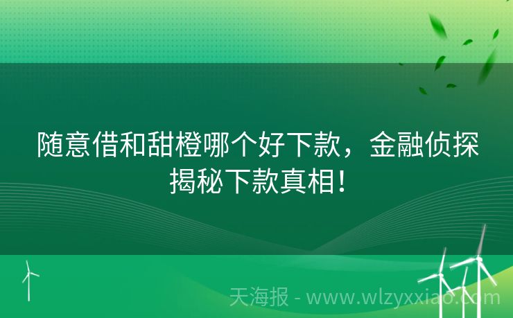 随意借和甜橙哪个好下款，金融侦探揭秘下款真相！