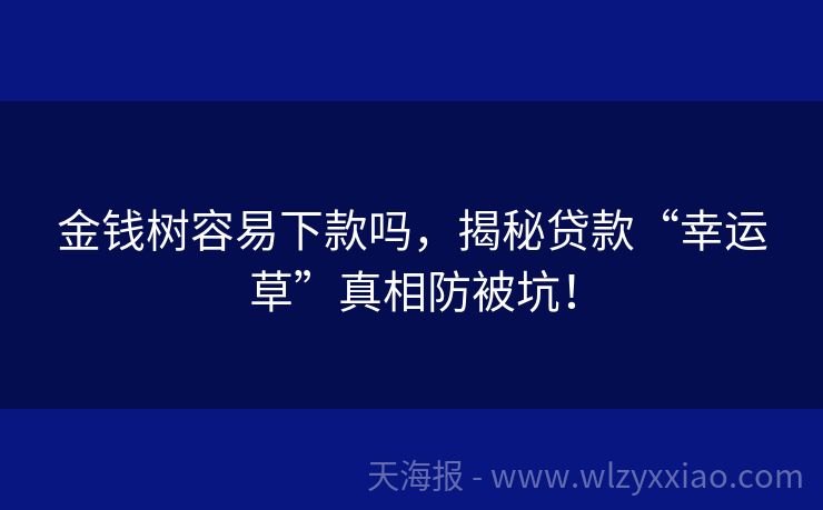 金钱树容易下款吗，揭秘贷款“幸运草”真相防被坑！