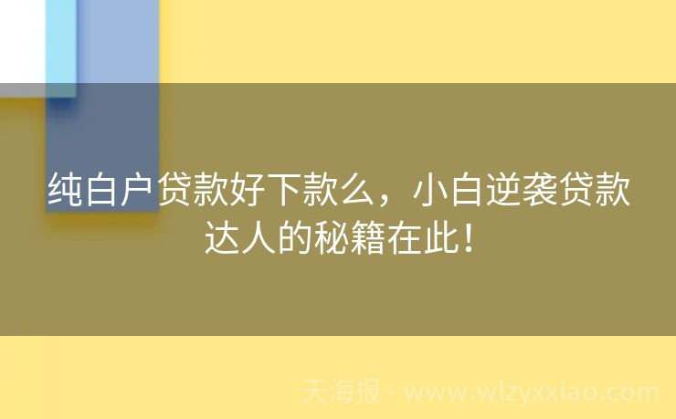纯白户贷款好下款么，小白逆袭贷款达人的秘籍在此！