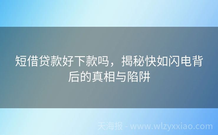短借贷款好下款吗，揭秘快如闪电背后的真相与陷阱