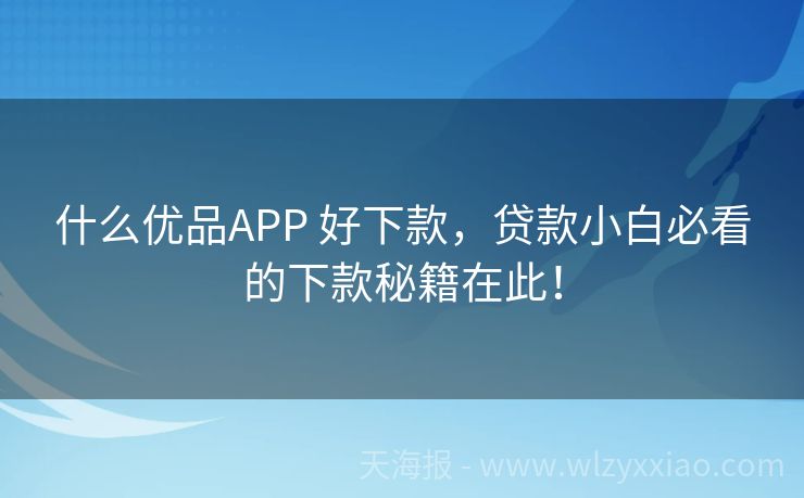 什么优品APP 好下款，贷款小白必看的下款秘籍在此！