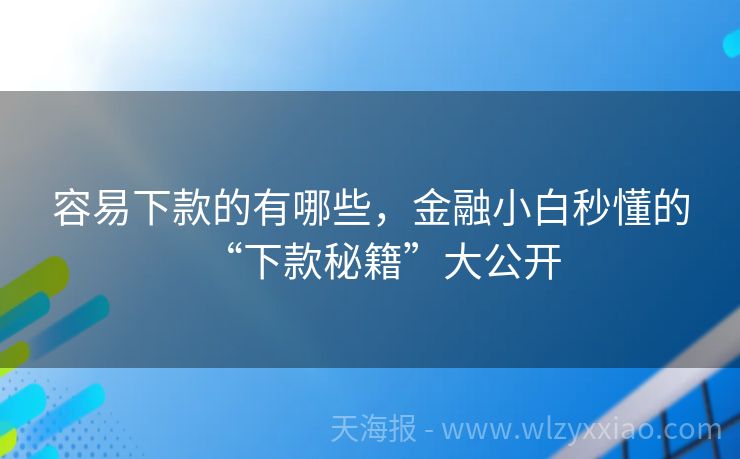 容易下款的有哪些，金融小白秒懂的“下款秘籍”大公开