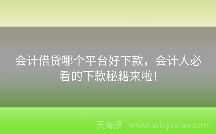 会计借贷哪个平台好下款，会计人必看的下款秘籍来啦！