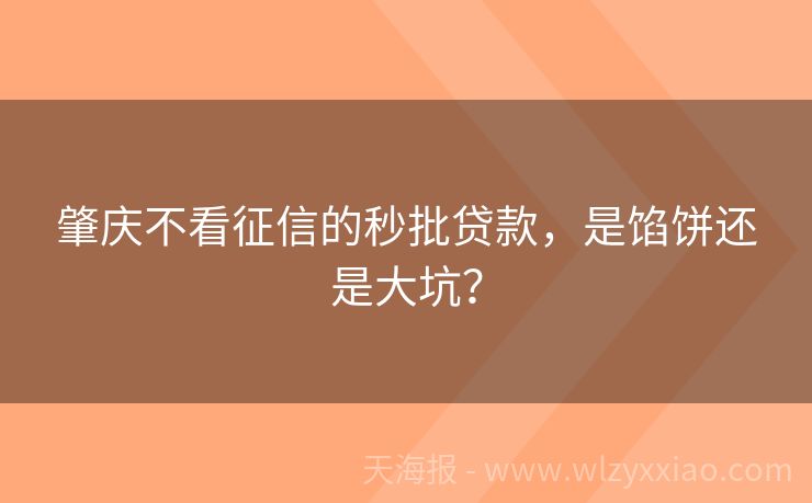 肇庆不看征信的秒批贷款，是馅饼还是大坑？