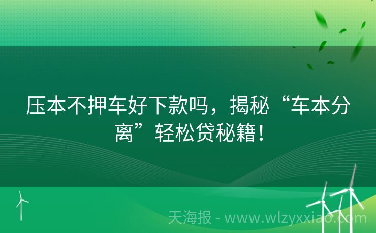 压本不押车好下款吗，揭秘“车本分离”轻松贷秘籍！
