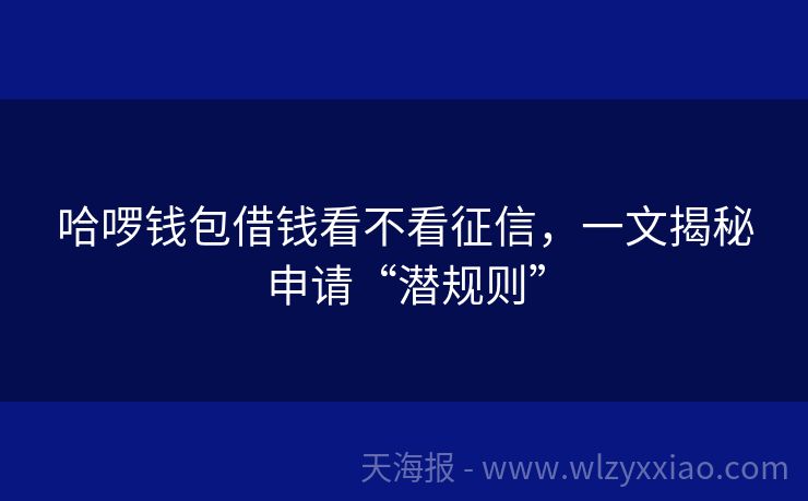 哈啰钱包借钱看不看征信，一文揭秘申请“潜规则”