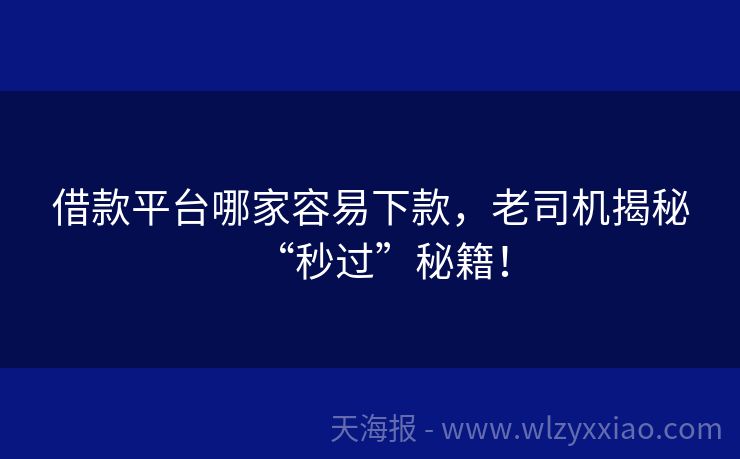 借款平台哪家容易下款，老司机揭秘“秒过”秘籍！