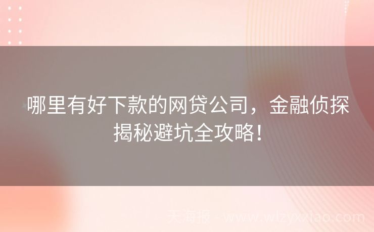 哪里有好下款的网贷公司，金融侦探揭秘避坑全攻略！