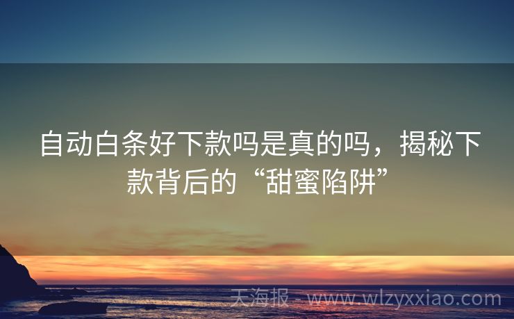自动白条好下款吗是真的吗，揭秘下款背后的“甜蜜陷阱”