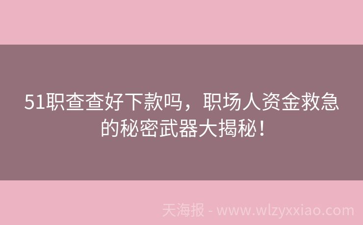 51职查查好下款吗，职场人资金救急的秘密武器大揭秘！