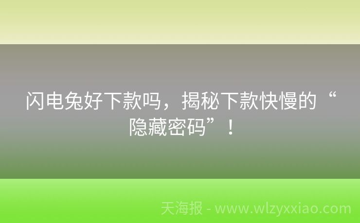 闪电兔好下款吗，揭秘下款快慢的“隐藏密码”！