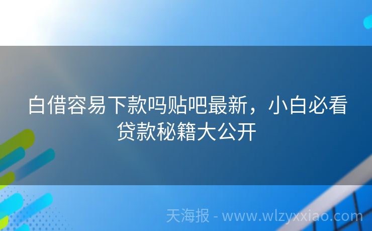 白借容易下款吗贴吧最新，小白必看贷款秘籍大公开