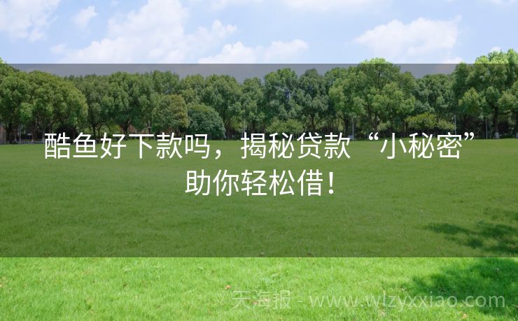 酷鱼好下款吗，揭秘贷款“小秘密”助你轻松借！