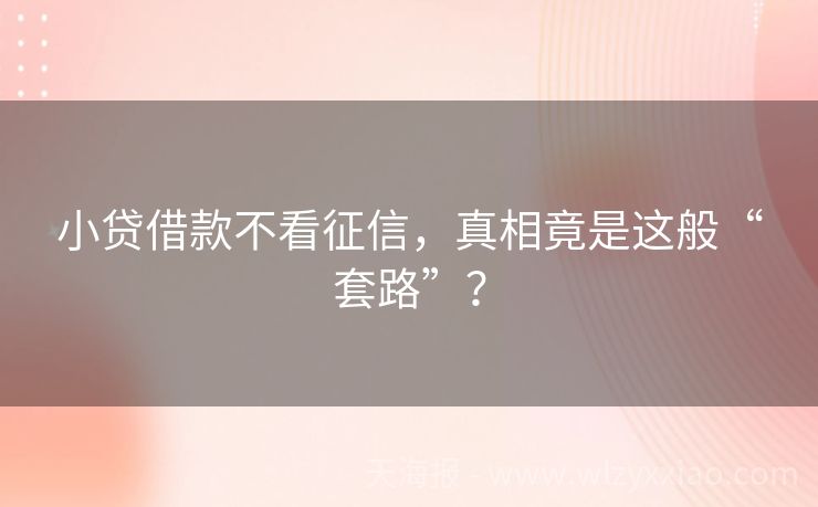 小贷借款不看征信，真相竟是这般“套路”？