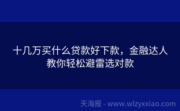 十几万买什么贷款好下款，金融达人教你轻松避雷选对款