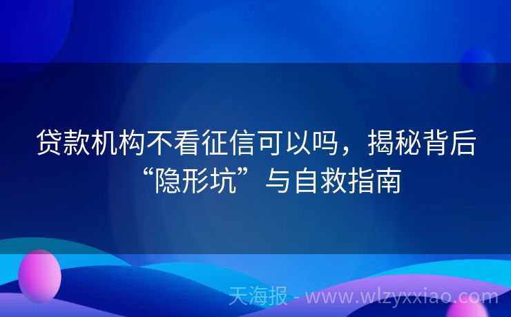 贷款机构不看征信可以吗，揭秘背后“隐形坑”与自救指南