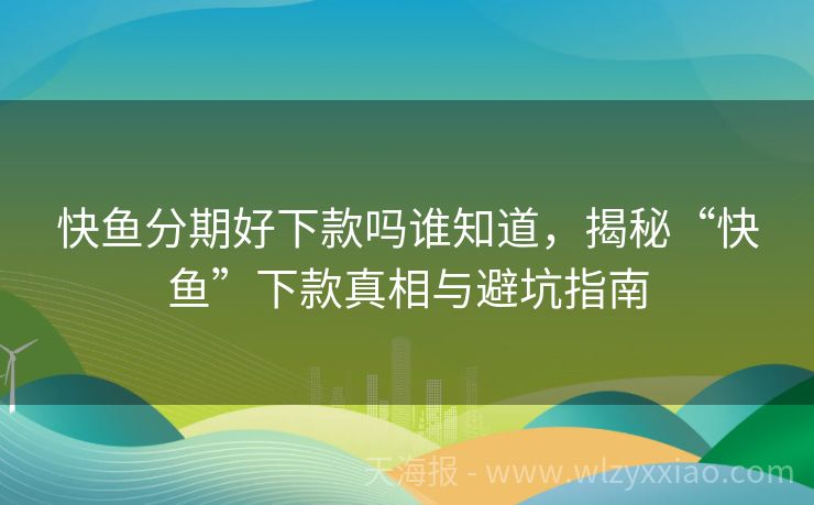 快鱼分期好下款吗谁知道，揭秘“快鱼”下款真相与避坑指南