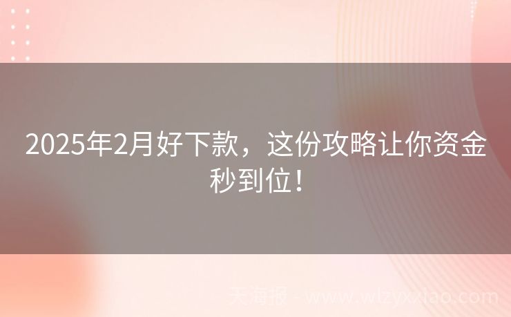 2025年2月好下款，这份攻略让你资金秒到位！