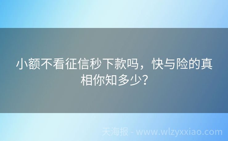 小额不看征信秒下款吗，快与险的真相你知多少？