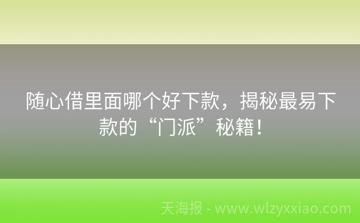 随心借里面哪个好下款，揭秘最易下款的“门派”秘籍！
