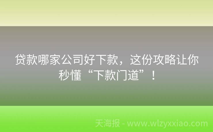 贷款哪家公司好下款，这份攻略让你秒懂“下款门道”！