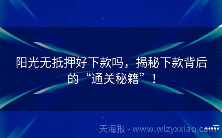 阳光无抵押好下款吗，揭秘下款背后的“通关秘籍”！