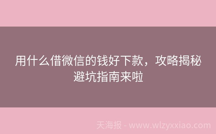 用什么借微信的钱好下款，攻略揭秘避坑指南来啦