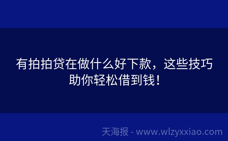 有拍拍贷在做什么好下款，这些技巧助你轻松借到钱！