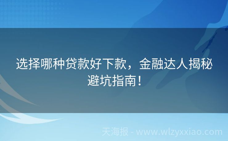 选择哪种贷款好下款，金融达人揭秘避坑指南！