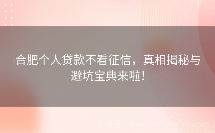 合肥个人贷款不看征信，真相揭秘与避坑宝典来啦！