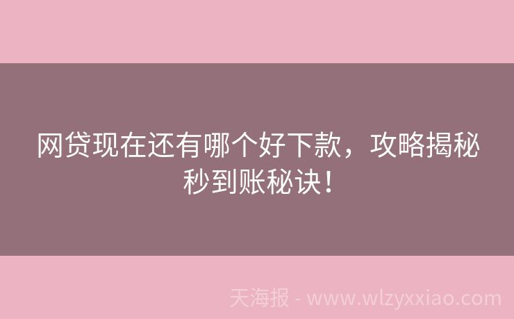 网贷现在还有哪个好下款，攻略揭秘秒到账秘诀！