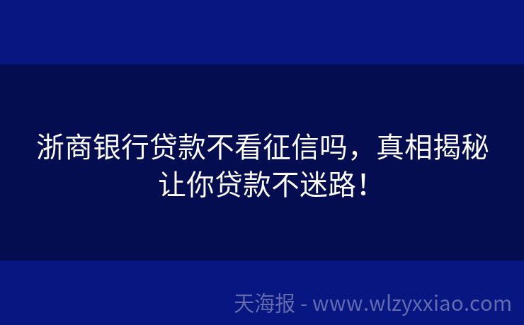 浙商银行贷款不看征信吗，真相揭秘让你贷款不迷路！