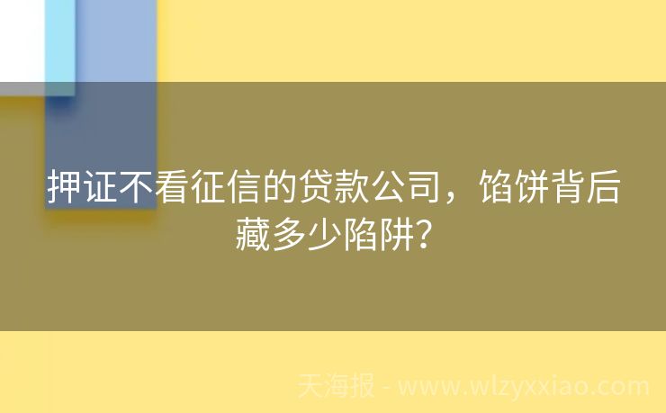 押证不看征信的贷款公司，馅饼背后藏多少陷阱？