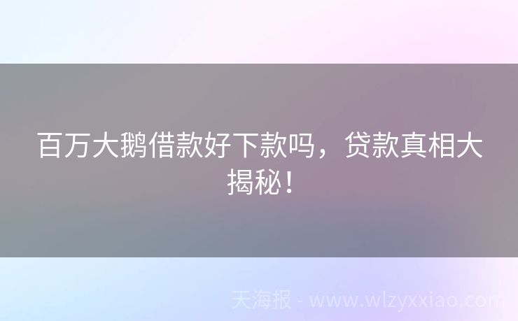 百万大鹅借款好下款吗，贷款真相大揭秘！