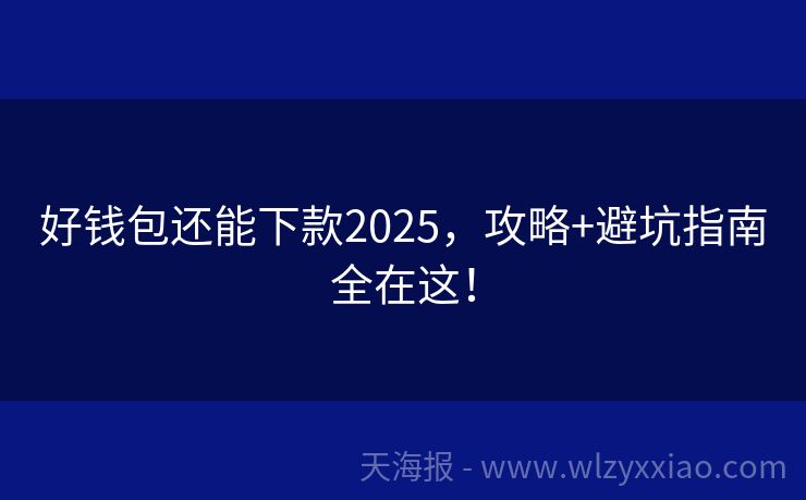 好钱包还能下款2025，攻略+避坑指南全在这！