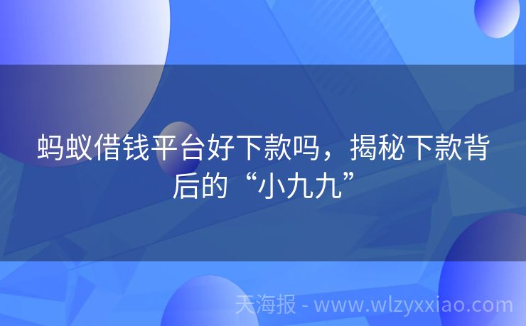 蚂蚁借钱平台好下款吗，揭秘下款背后的“小九九”