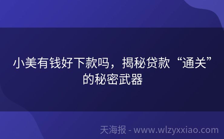 小美有钱好下款吗，揭秘贷款“通关”的秘密武器