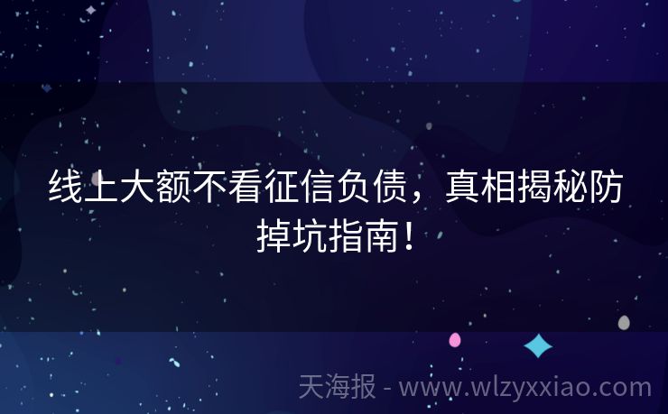 线上大额不看征信负债，真相揭秘防掉坑指南！